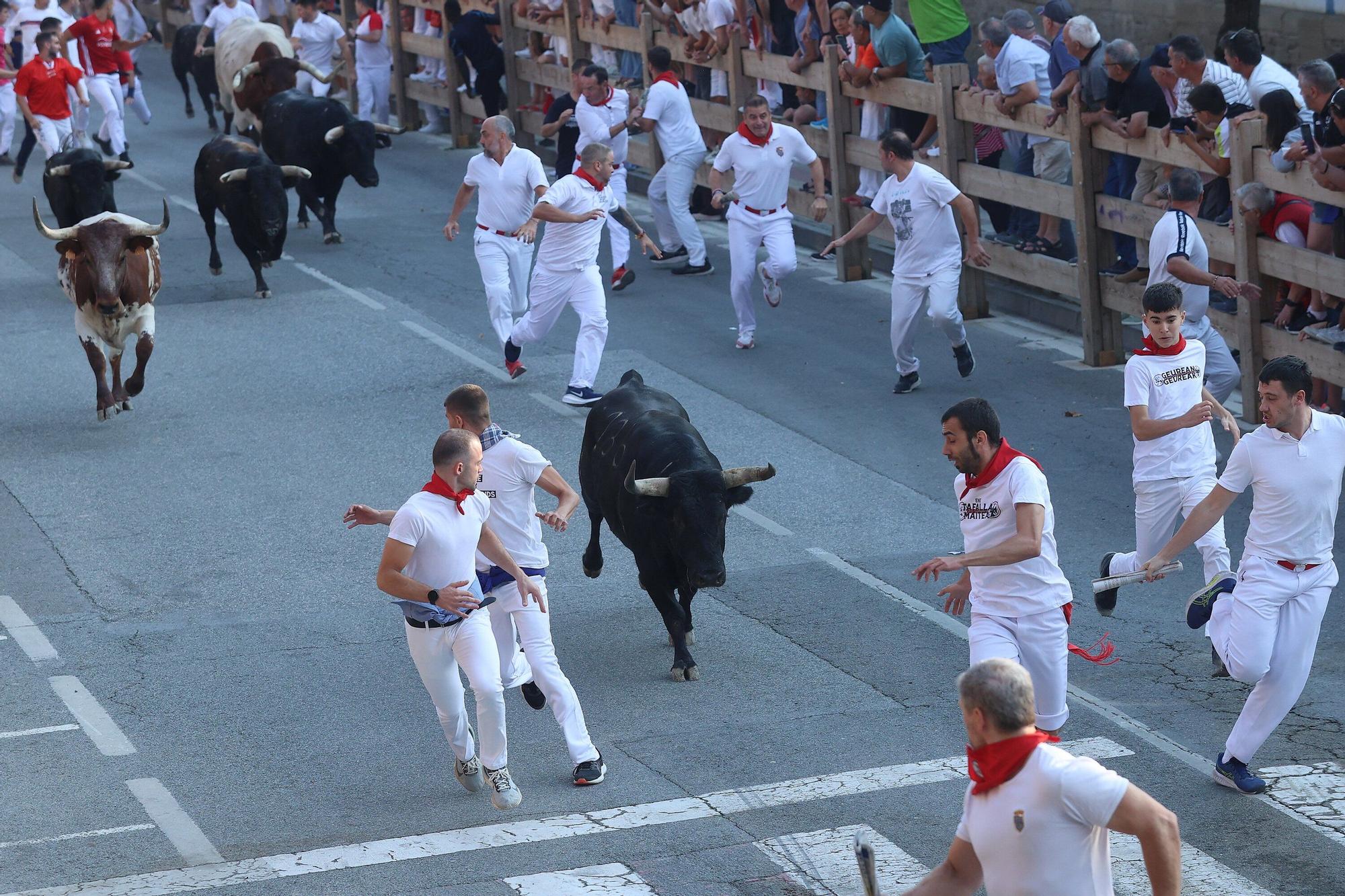 Fotos del segundo encierro de fiestas de Tafalla 2025
