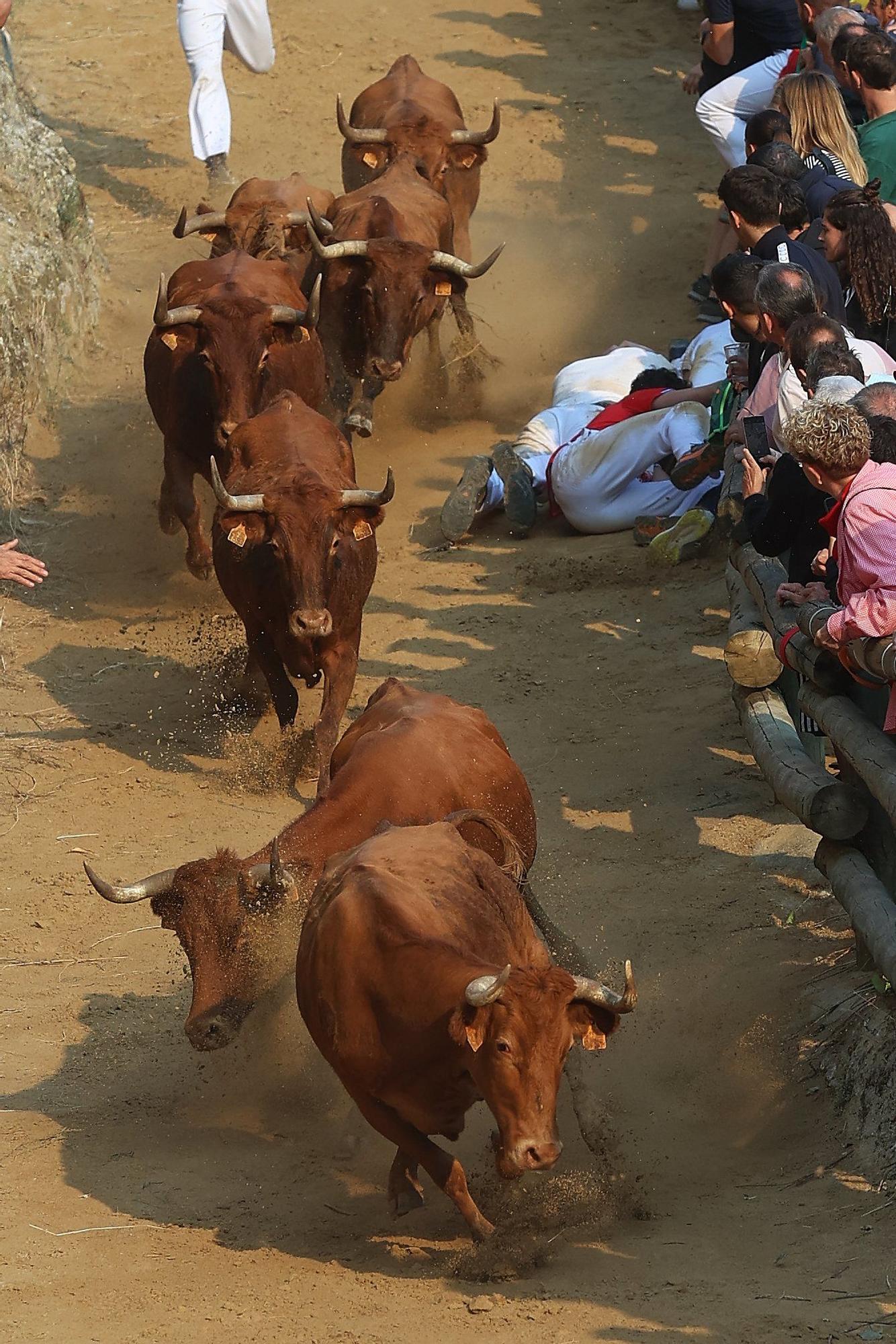 Fotos del cuarto encierro del Pilón de Falces 2025