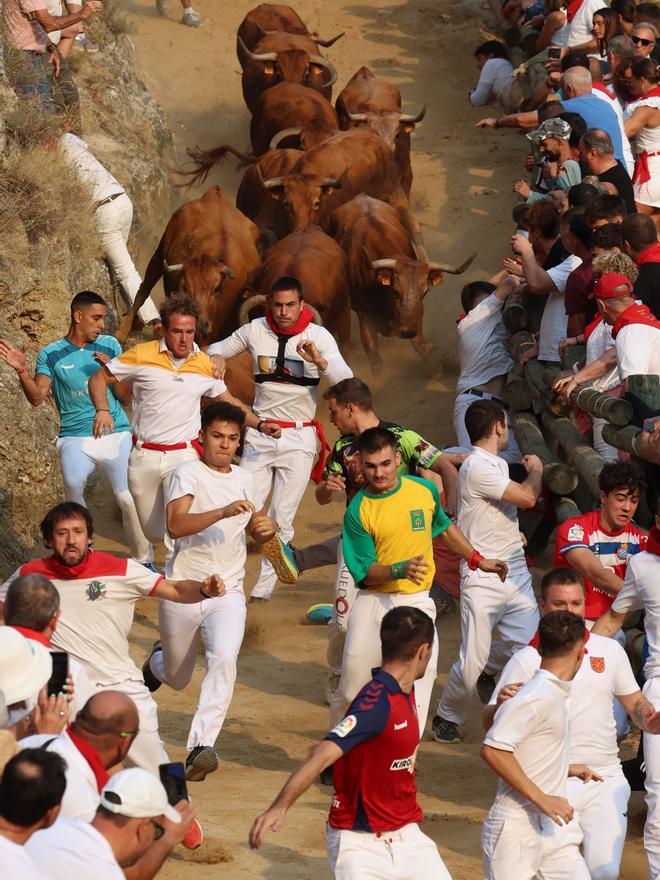 Fotos del primen encierro del Pilón en Falces 2025