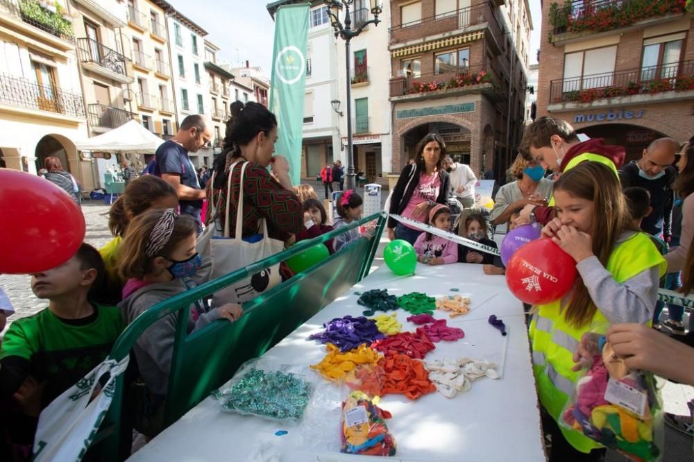 Estella-Lizarra celebra el Nafarroa Oinez