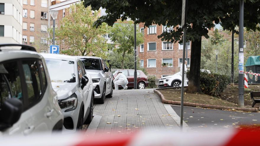 Asesinato en Solokoetxe: &quot;He visto a unos con una sierra&quot;