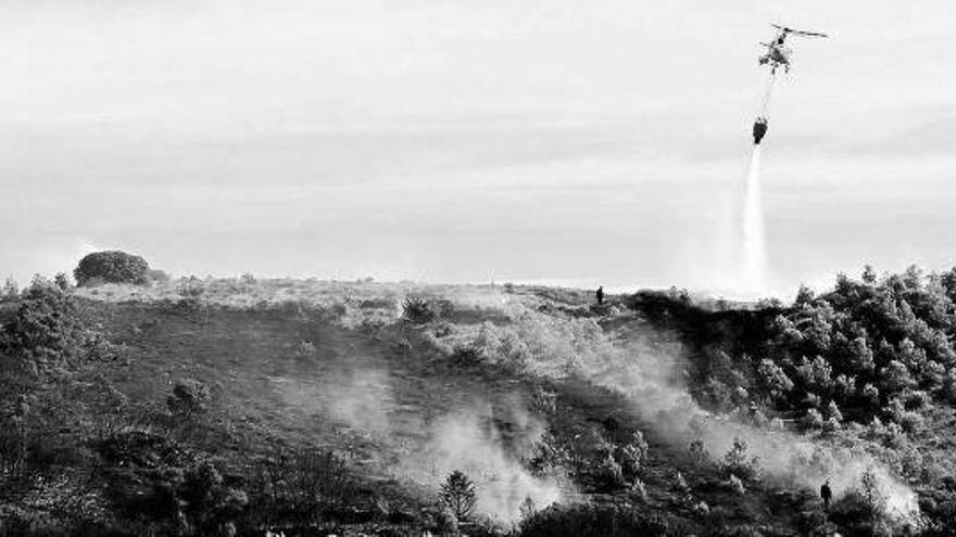 Un helicóptero lanza agua al pinar que resultó afectado por el fuego en Sangüesa.