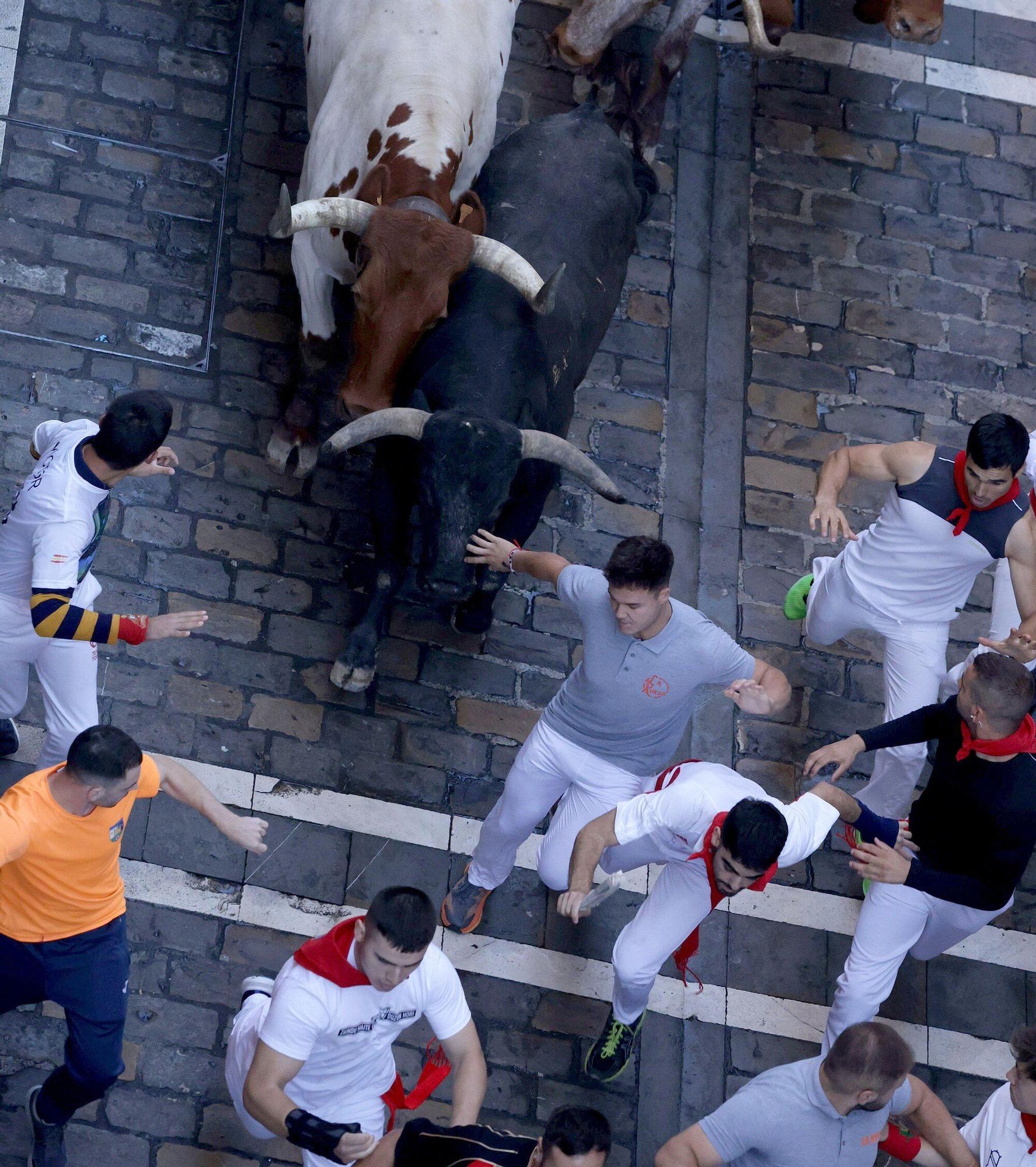 Fotos del octavo encierro de San Fermín con toros de Miura