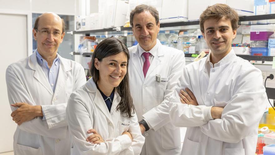 Un hallazgo de la Clínica Universidad de Navarra logra erradicar en el laboratorio la recaída del cáncer de mama más agresivo