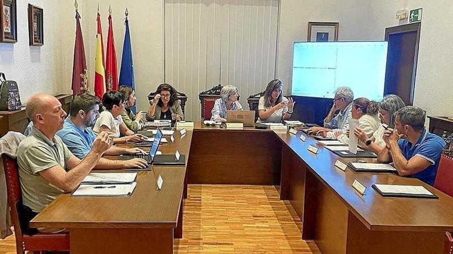 Imagen de la última sesión plenaria celebrada en Lodosa.