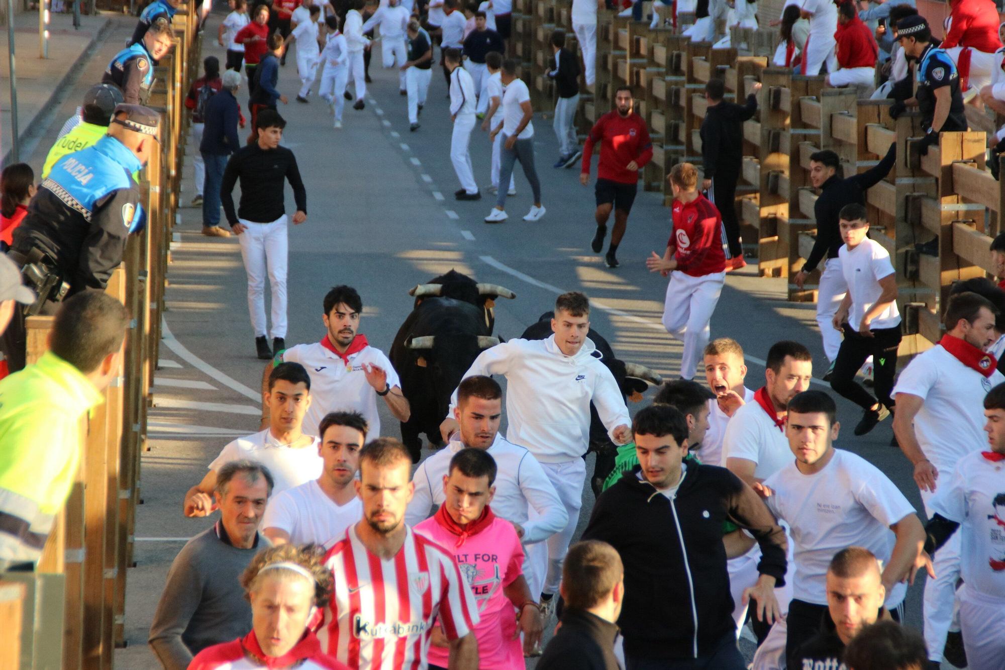 Fotos del quinto encierro de las fiestas de Tudela 2025