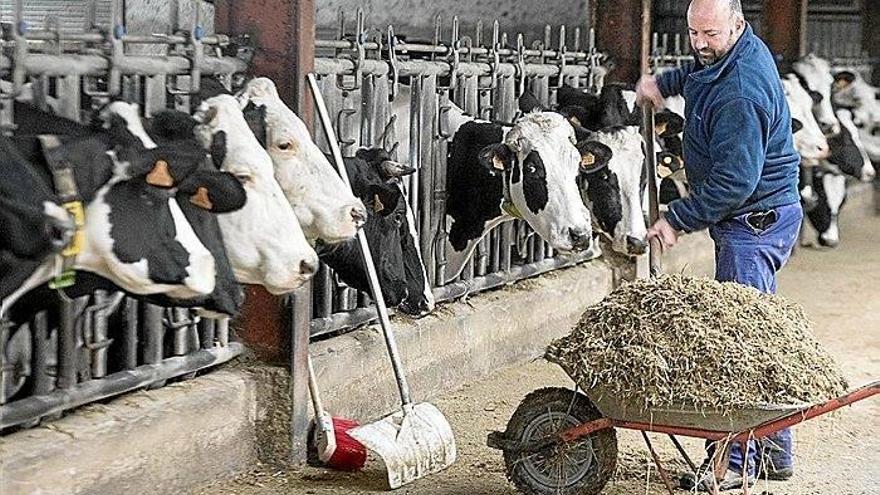 La leche del futuro