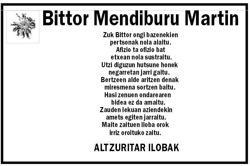 Bittor Mendiburu Martin