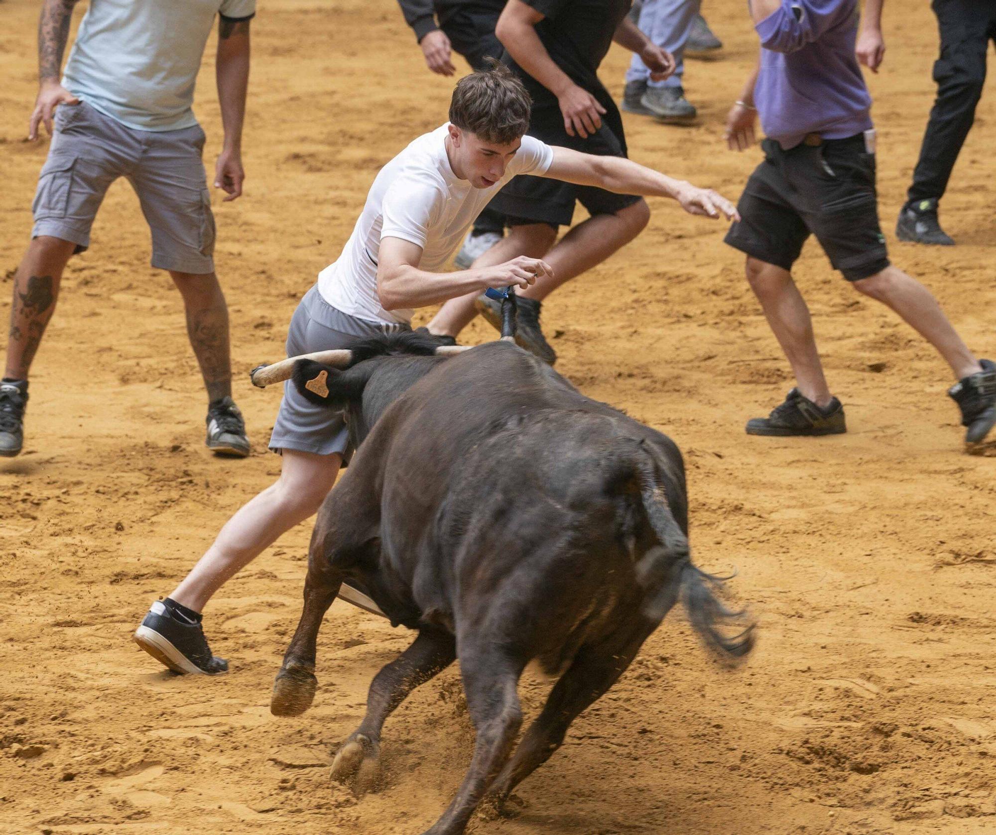 Eb imágenes: Las vaquillas reinan en el Iradier Arena
