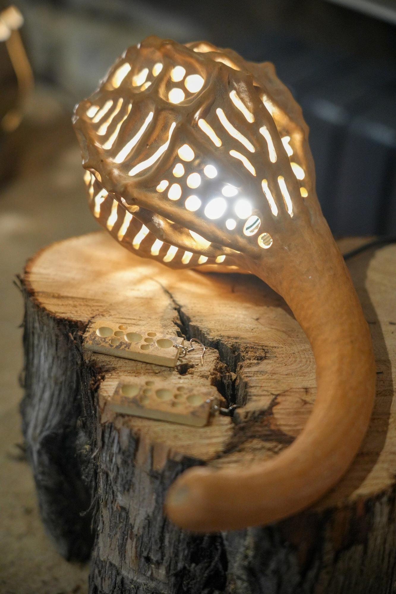 En imágenes: Exposición de calabazas en la Casa de la Dehesa