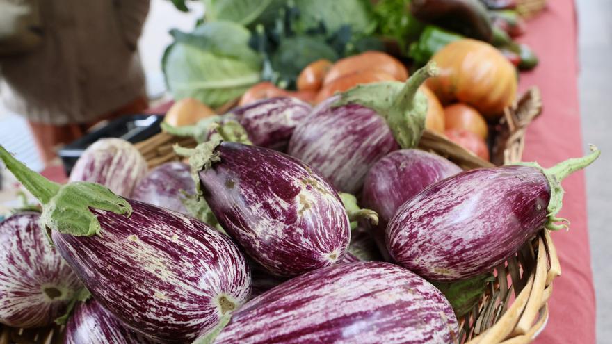 Álava será el epicentro de la agroecología en septiembre