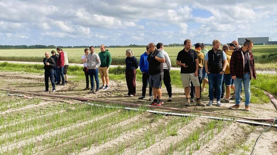 Agricultores alaveses visitan Países Bajos para conocer su patata de siembra