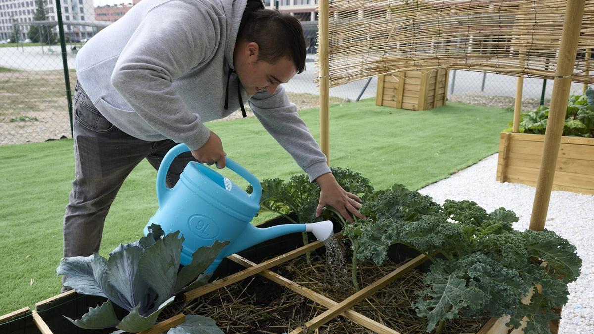 Fotos del huerto comunitario Buztingune de Buztintxuri