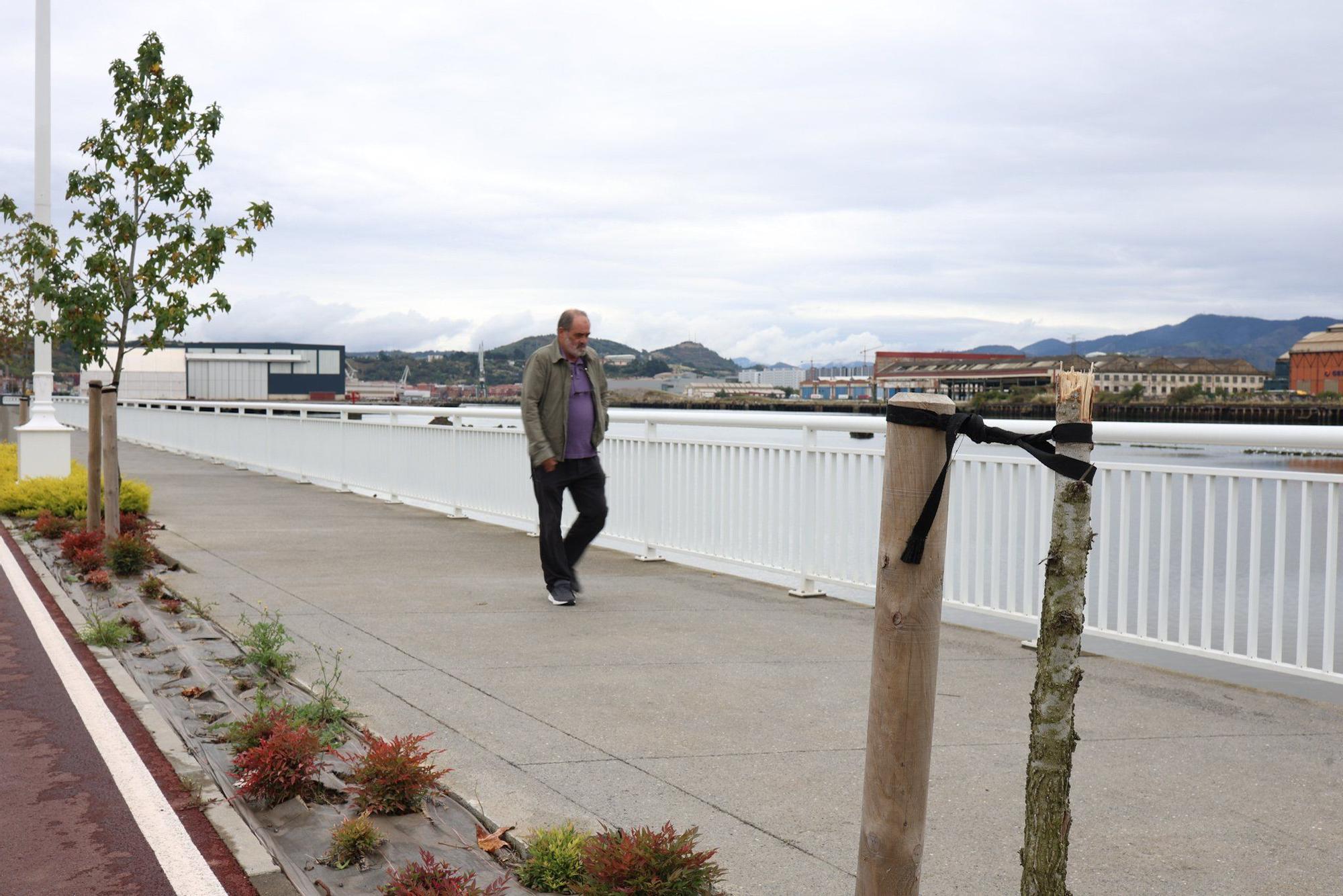 En imágenes: Destrozan una decena de árboles en el paseo de la ría en Lamiako