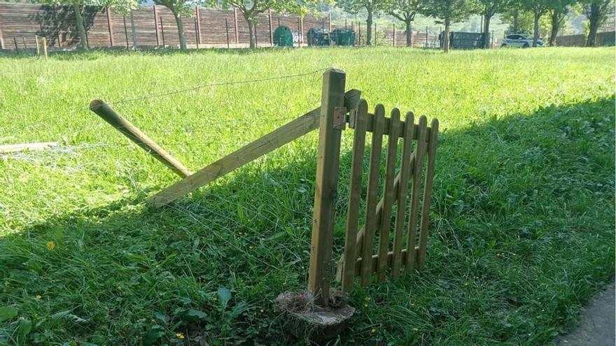 Iurreta condena los actos vandálicos en Maiztegi Eskola