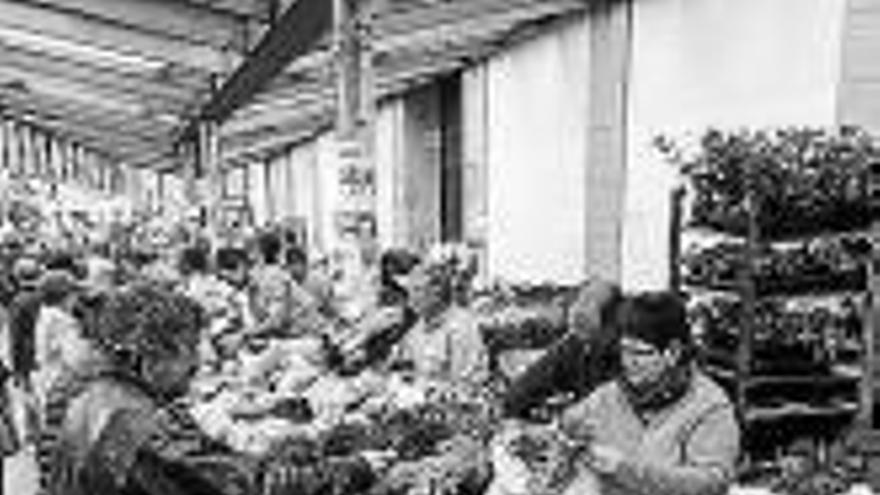 El gasto en alimentación se redujo un 1,7%
