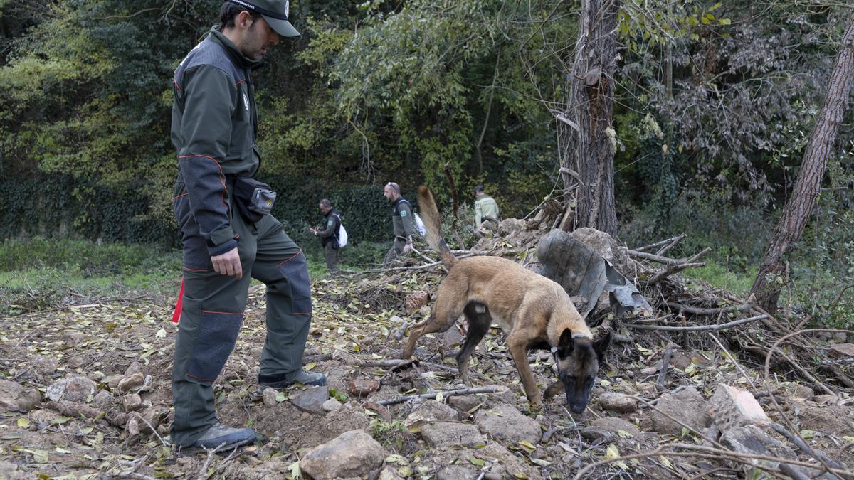 El Cuerpo de Agentes Rurales muestra cómo se trabaja con los agentes caninos en la localización de ejemplares de jabalí
