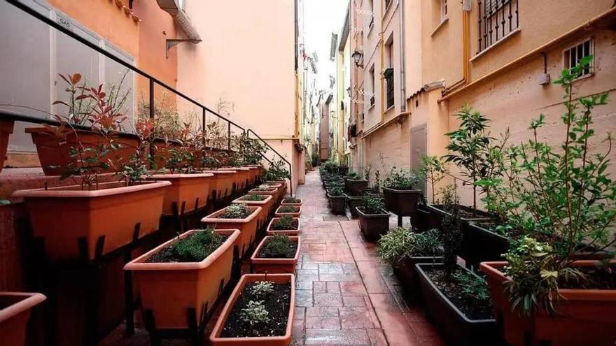 Redescubre los Caños medievales: de conducir residuos a jardines botánicos