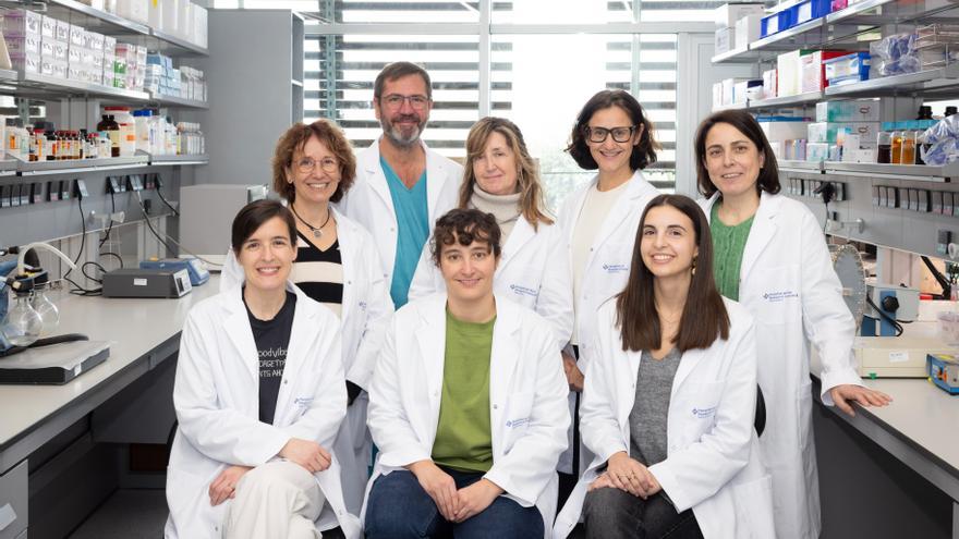 Desarrollan un test para detectar el cáncer de páncreas mediante una muestra de sangre