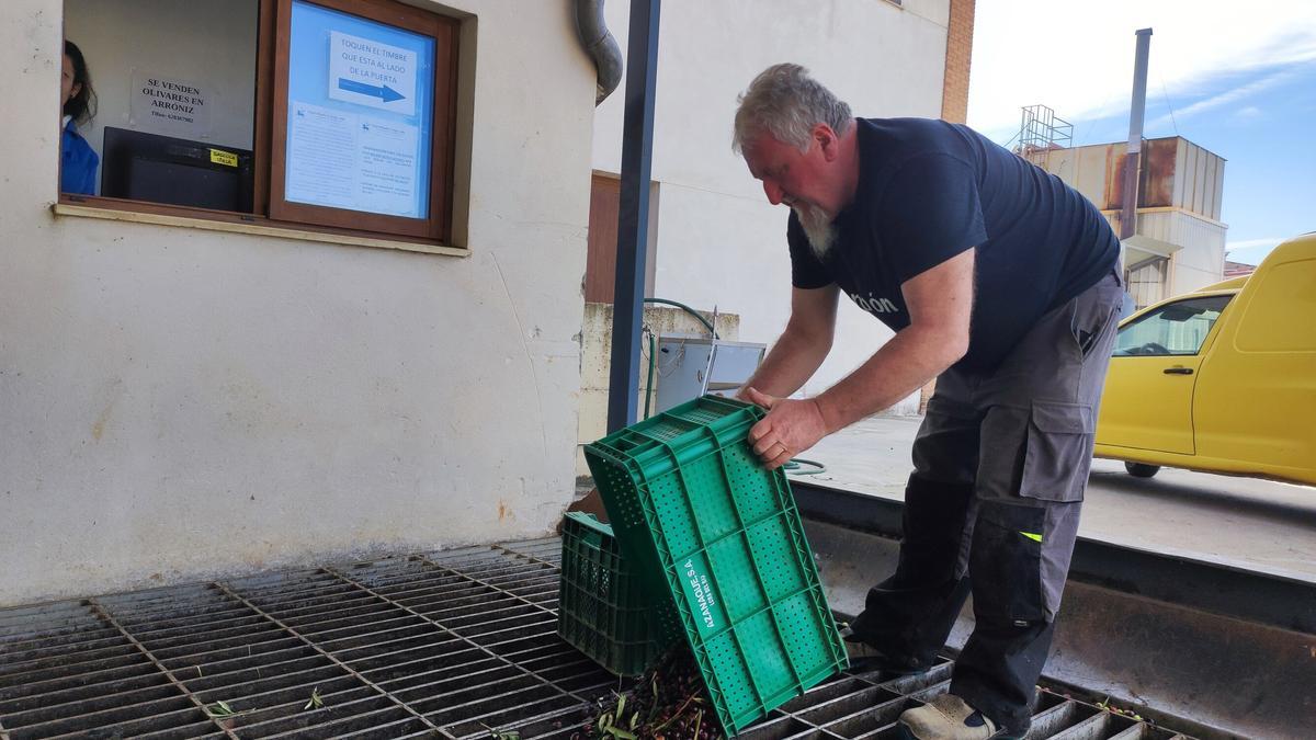 Un vecino de Muniáin descarga su recogida en el trujal de Arróniz.