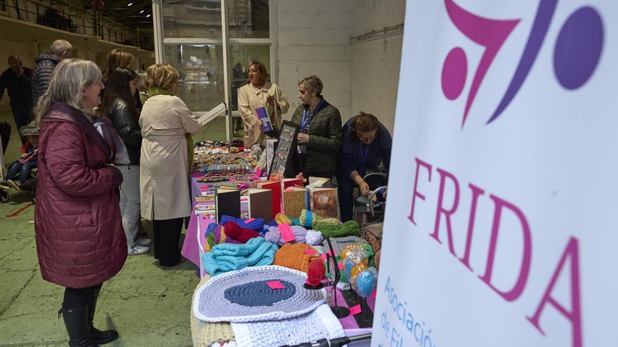 Frida: 20 años por el buen camino