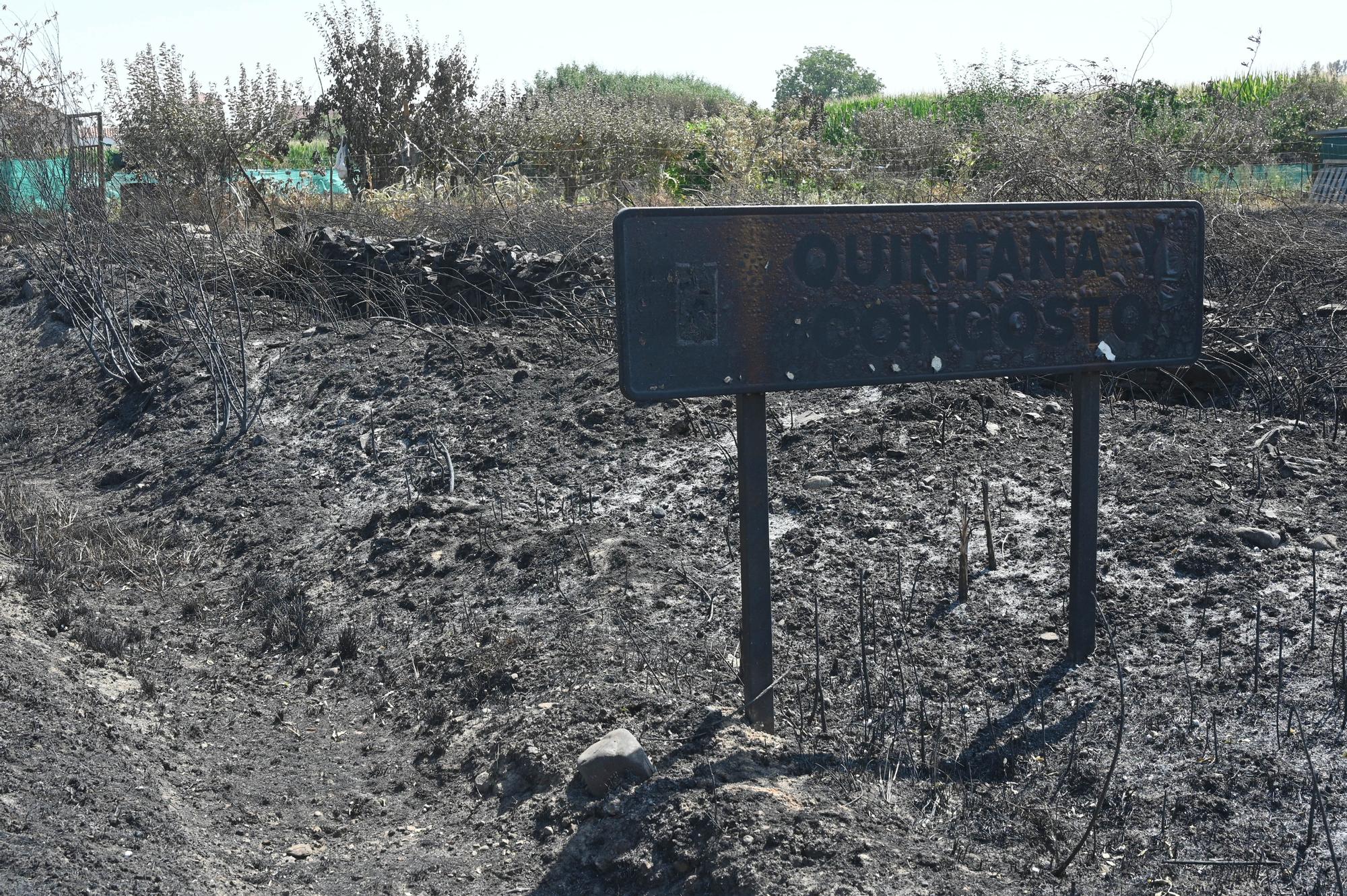Semana negra de incendios: Cuatro muertos y 120.000 hectáreas quemadas