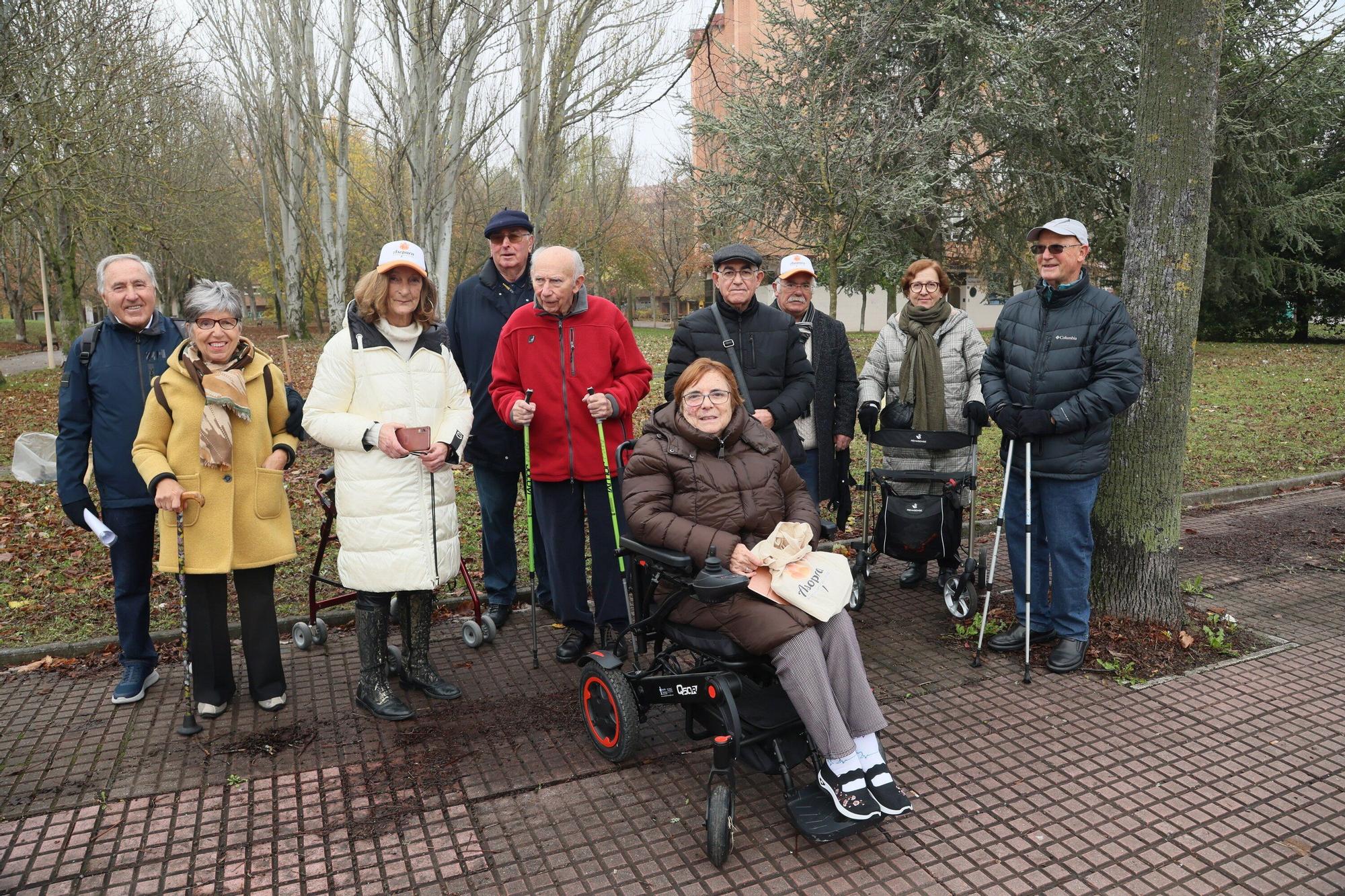 En imágenes: Un árbol para 25 años de lucha contra el párkinson en Vitoria