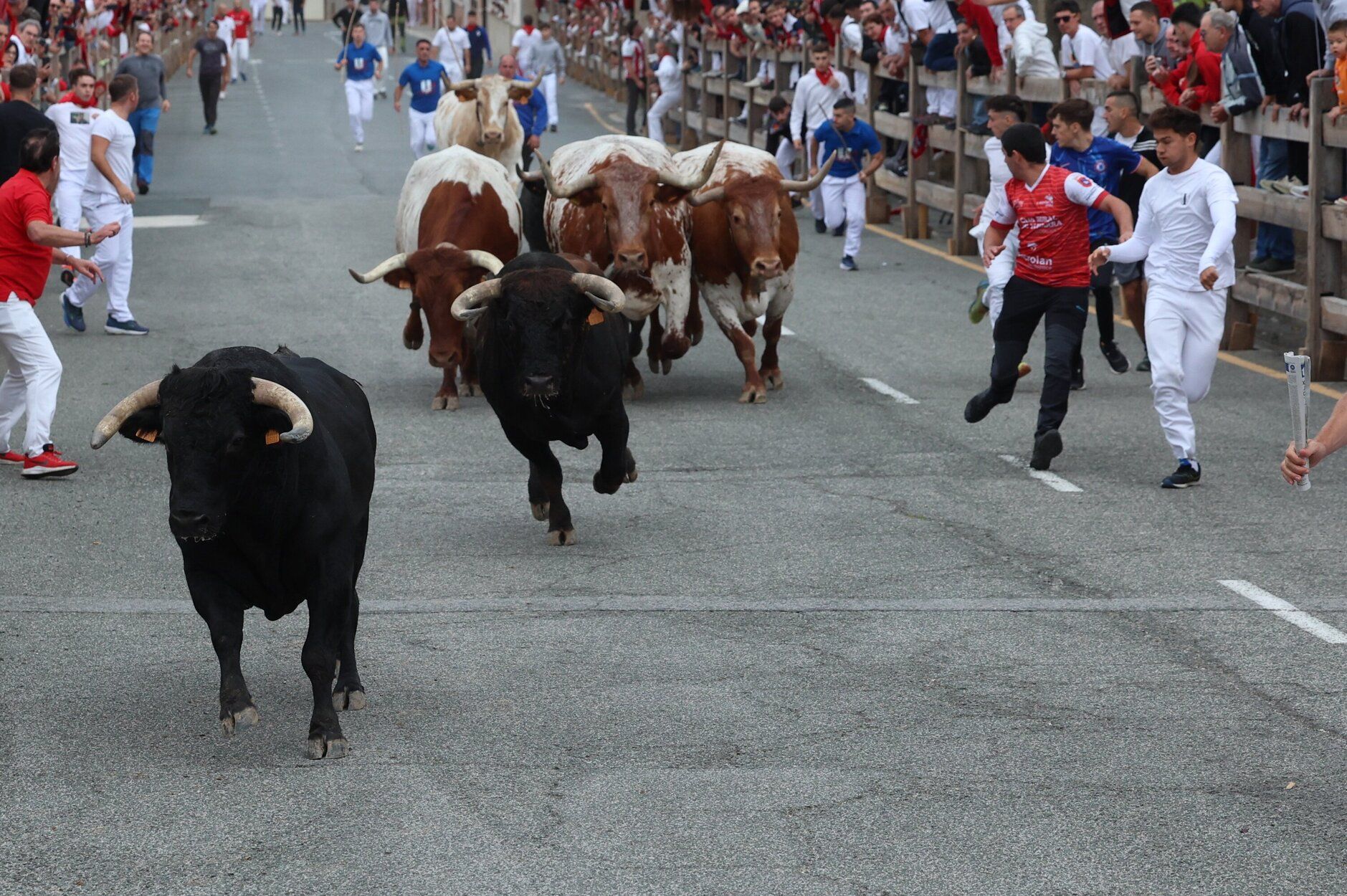 Fotos del primer encierro de fiestas de Sangüesa