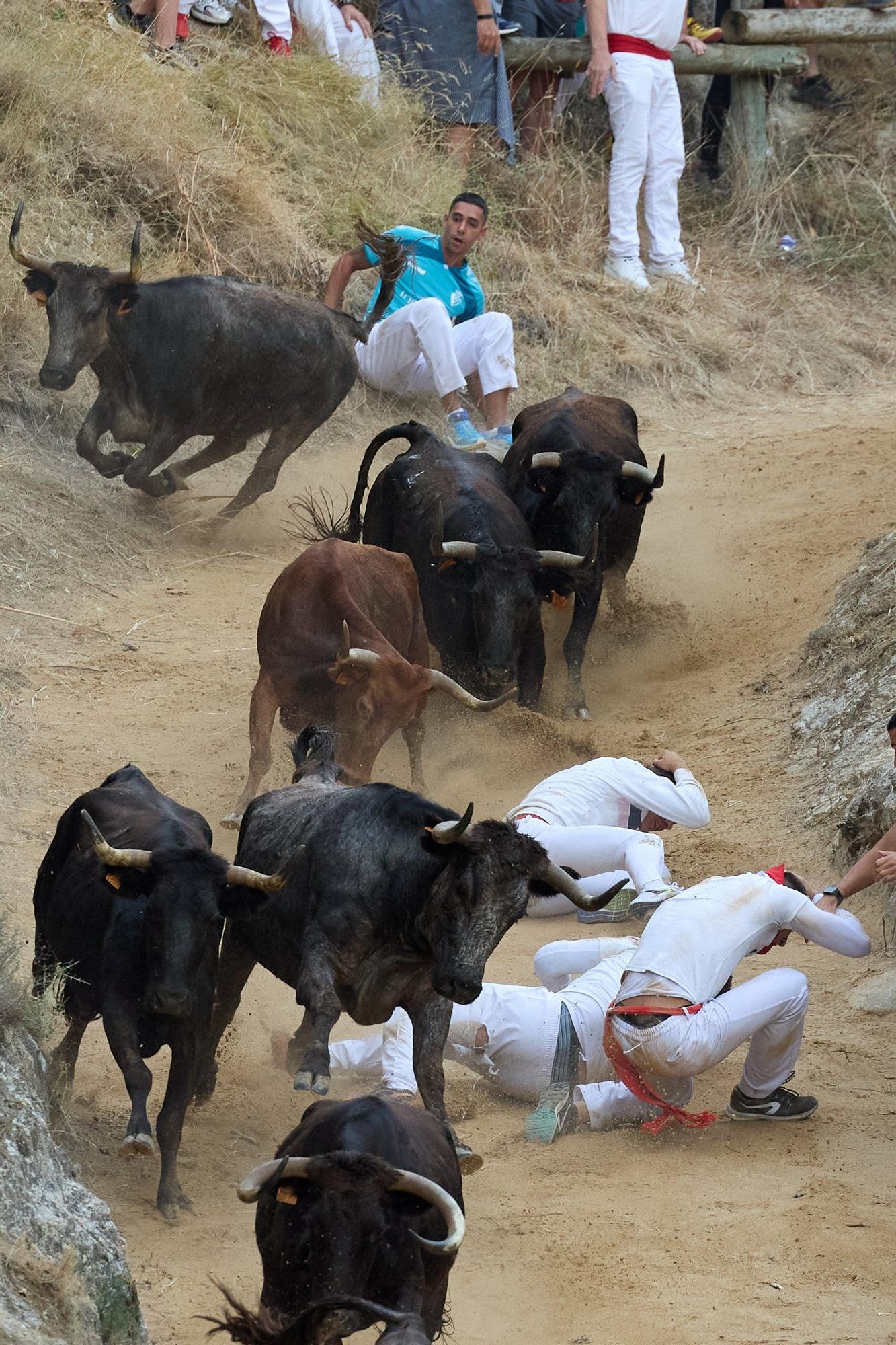 Fotos del tercer encierro del Pilón de Falces 2025