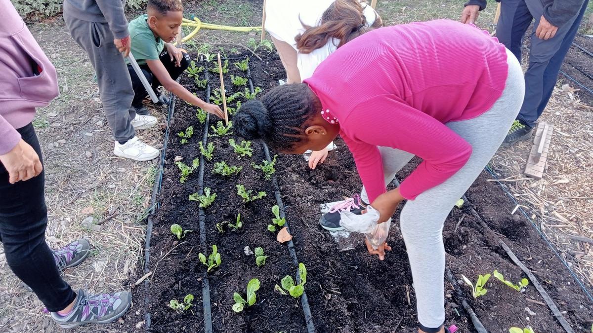 El grupo cultivando en el huerto.