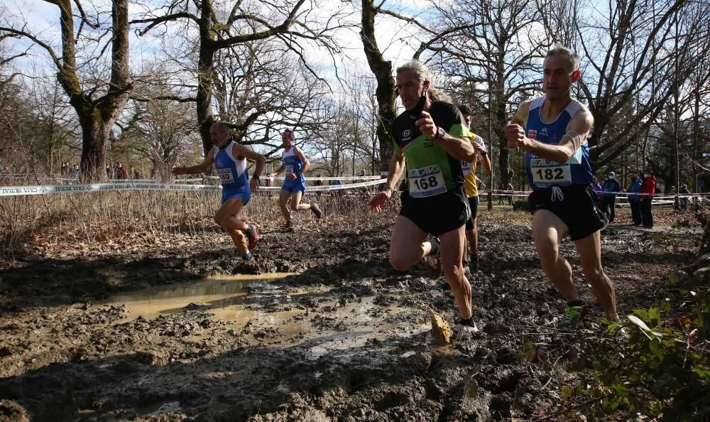 Campeonatos Navarros de Cross