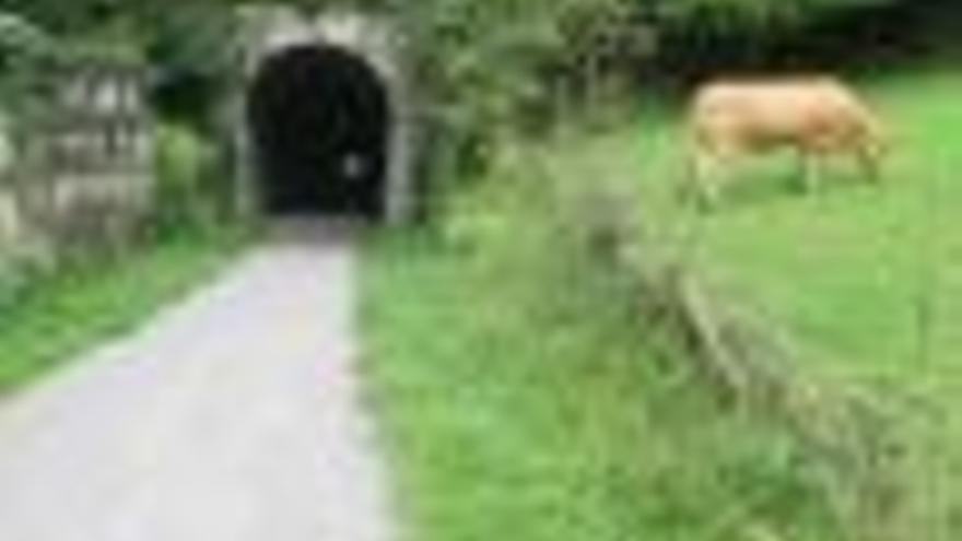 El bidegorri del Urola acogerá una de las medias maratones más rápidas del mundo