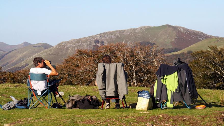 Lindus cierra la campaña migratoria con récords en milano real y cigüeña blanca en Auritz/Burguete
