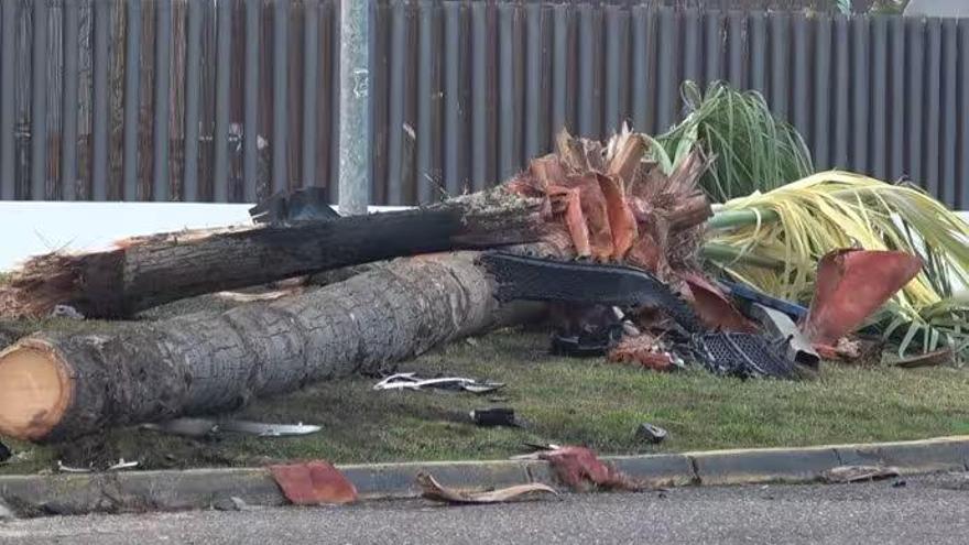 Cayetano Rivera se estrella contra una palmera y podría haber dado positivo en alcohol