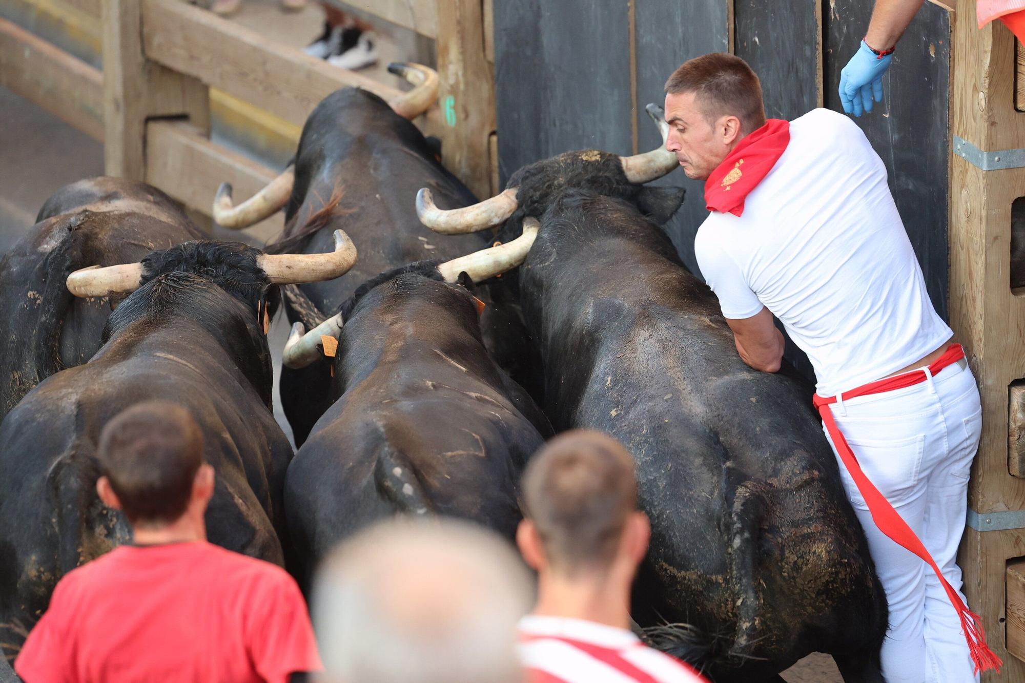 Fotos del tercer encierro de las fiestas de Tudela 2025