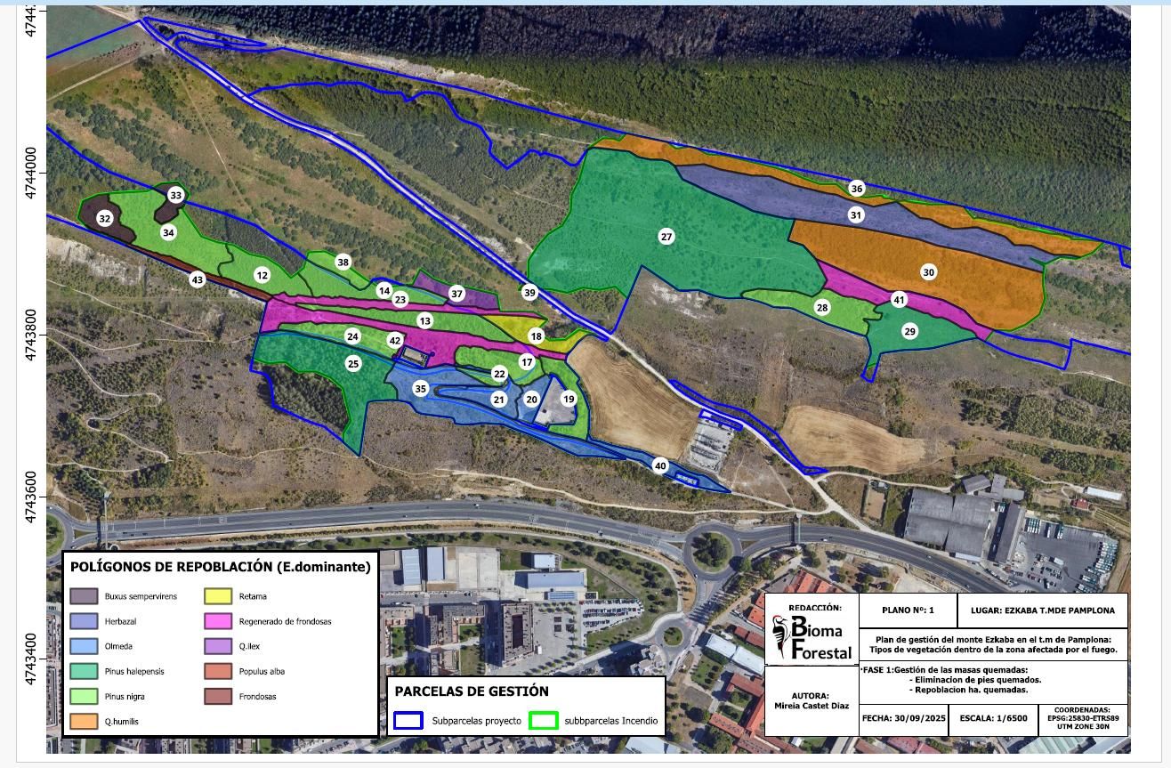 Especies con las que se repoblará Ezkaba tras el incendio de 2022.