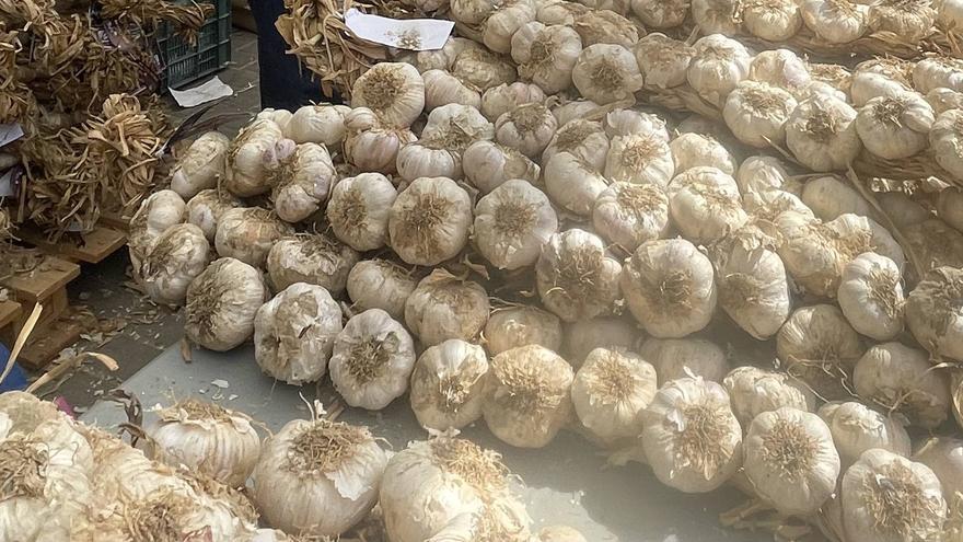 Falces celebrará el 25 y 26 las VI Jornadas de Agroturismo