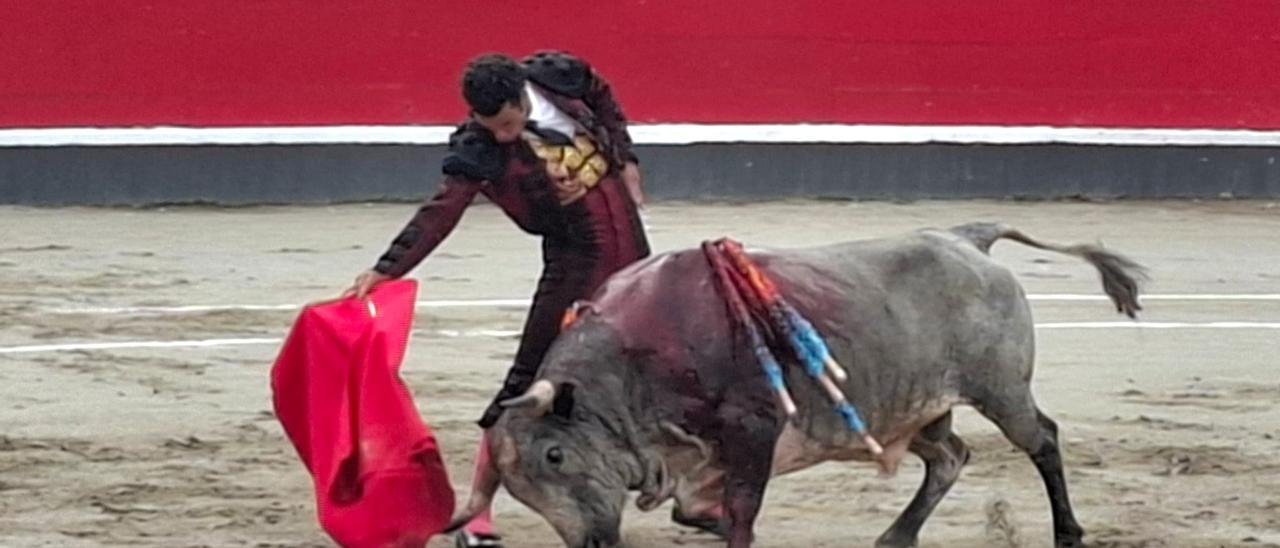Sendas orejas para Morenito  de Aranda y Fernando Molina