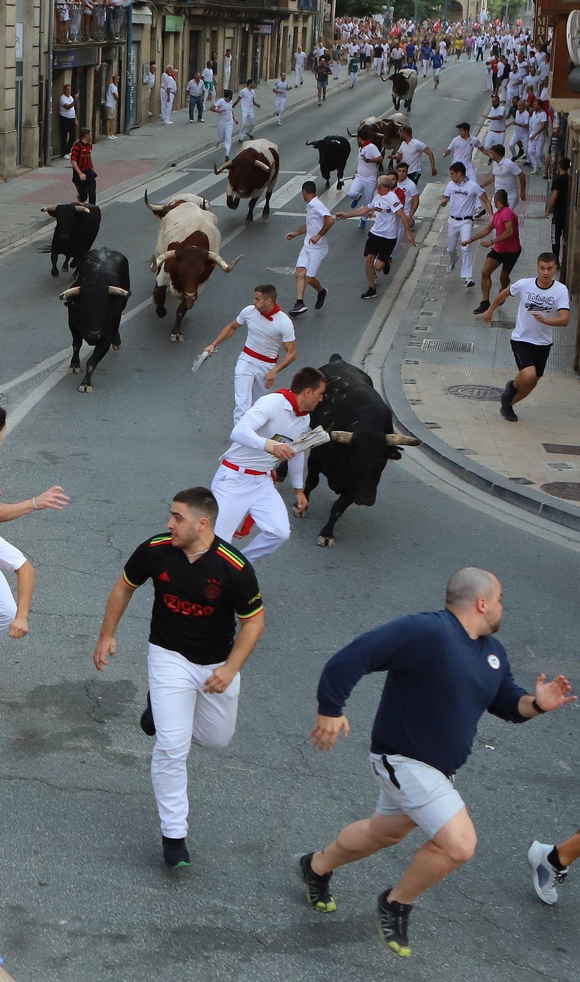 Fotos del segundo encierro de fiestas de Tafalla 2025