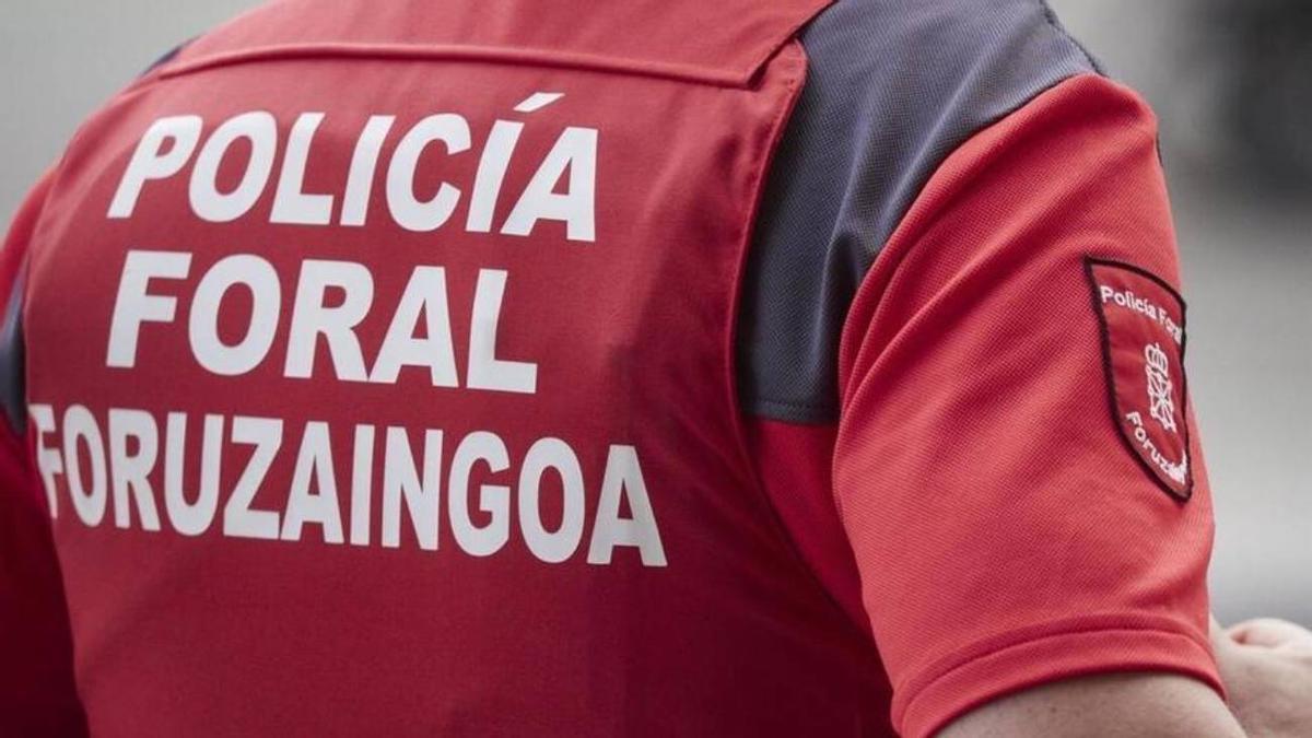 Un agente de la Policía Foral, de espaldas.