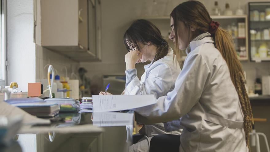 Prácticamente el 100% del alumnado de FP ya han realizado o están haciendo prácticas en empresas