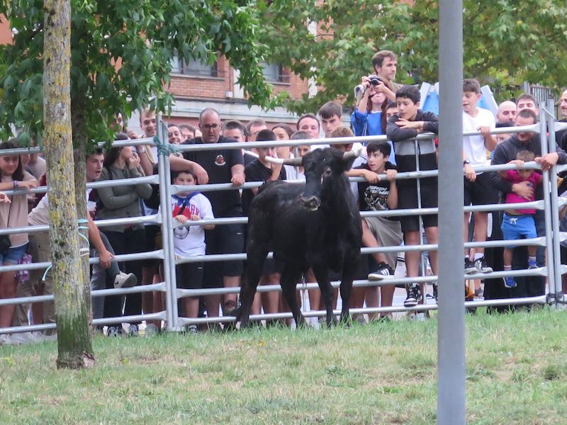 Los urretxuarras lo dan todo en las fiestas de Santa Anastasia