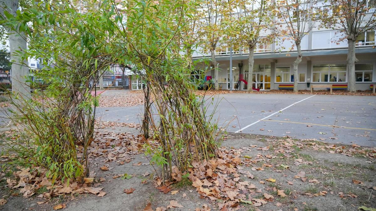 Parte del proyecto de naturalización.