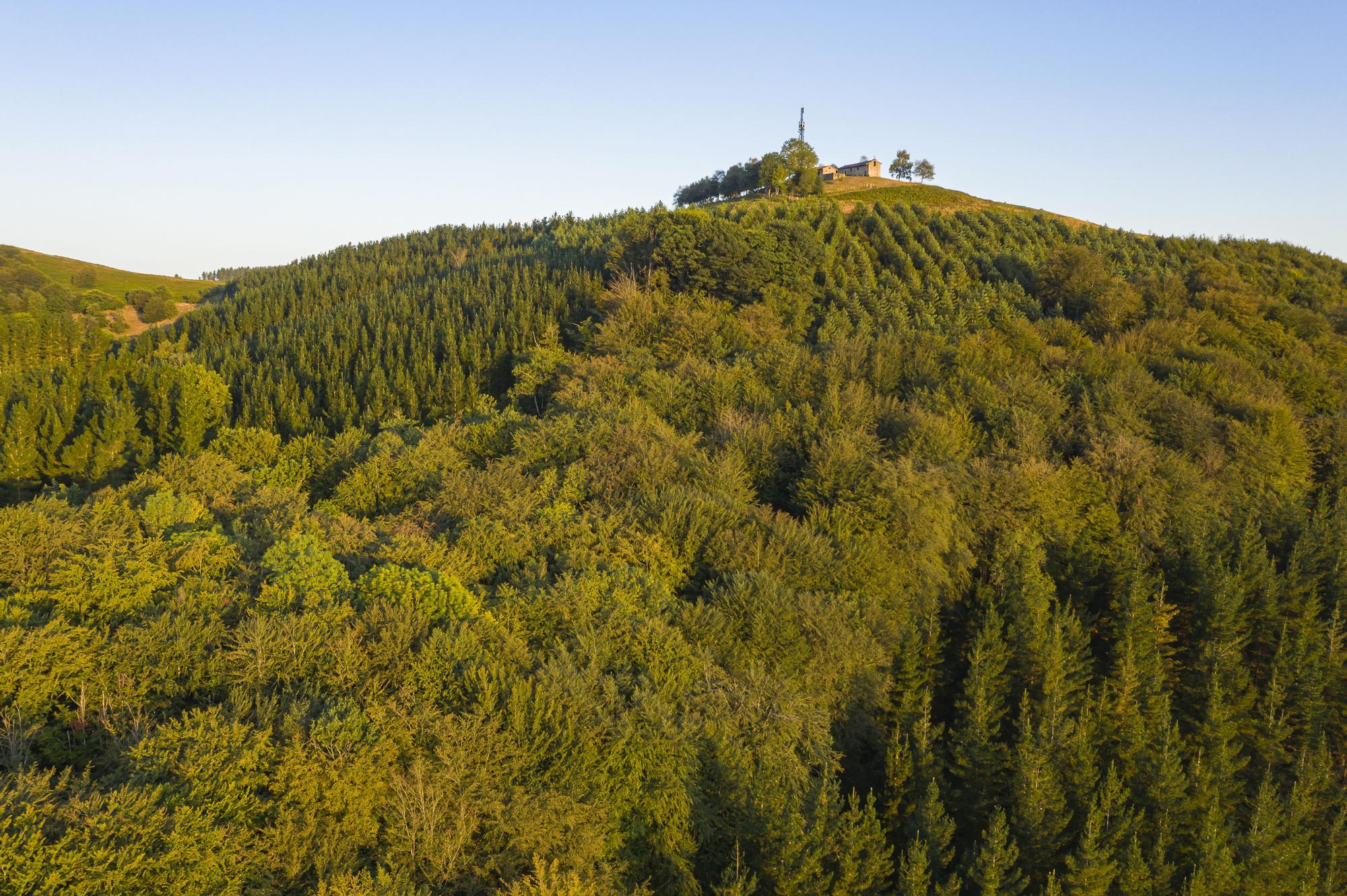 Cumbre del monte Arrola.