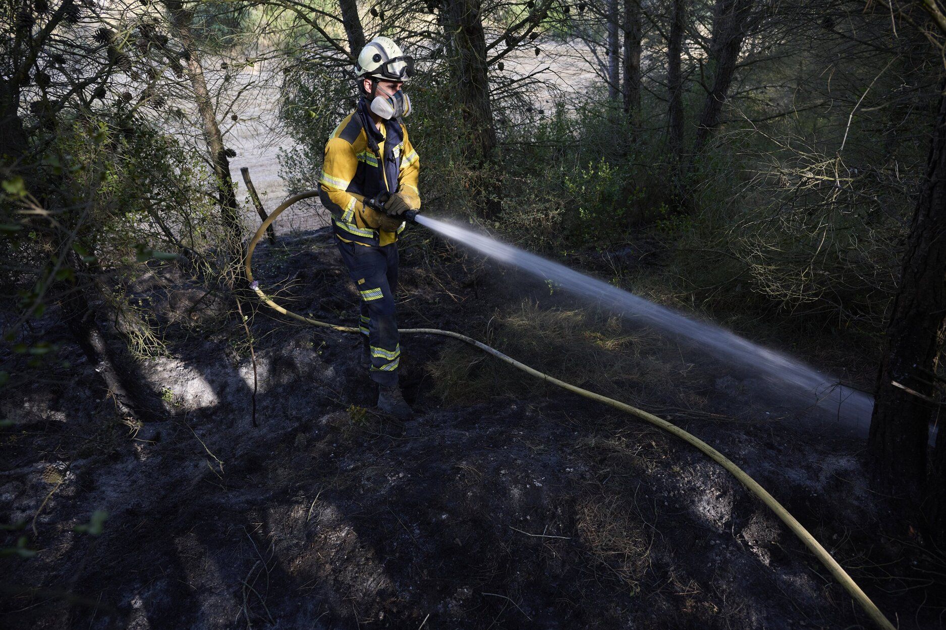 Imágenes de la zona afectada por el incendio en Enériz