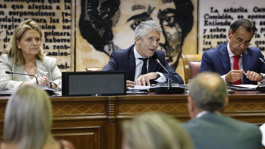 Marlaska acusa al PP de utilizar de forma &quot;partidista&quot; la catástrofe de los incendios