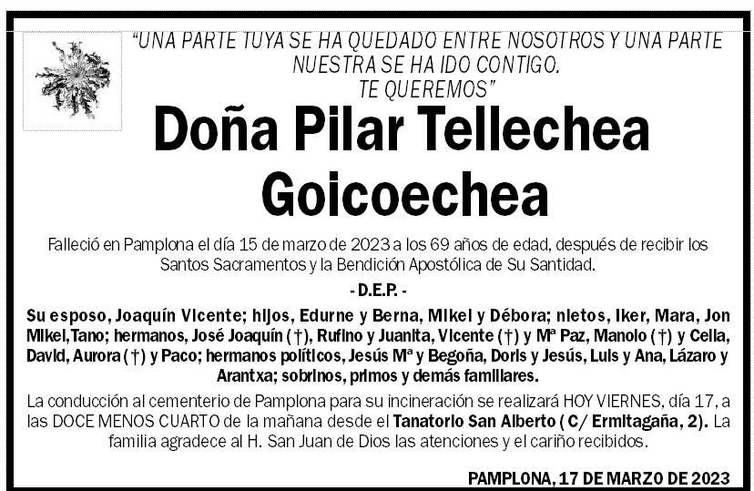 Pilar Tellechea Goicoechea