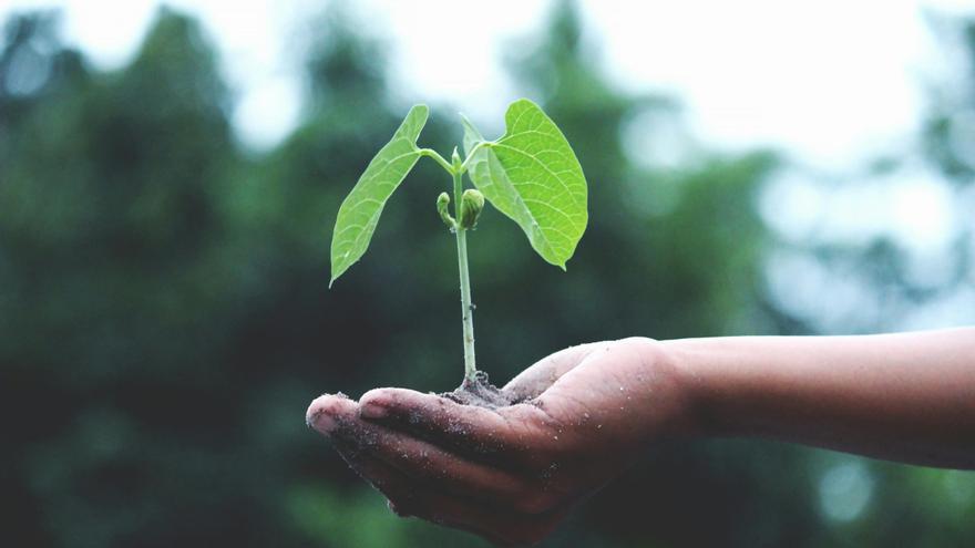 Agricultura responsable: producir más respetando la naturaleza