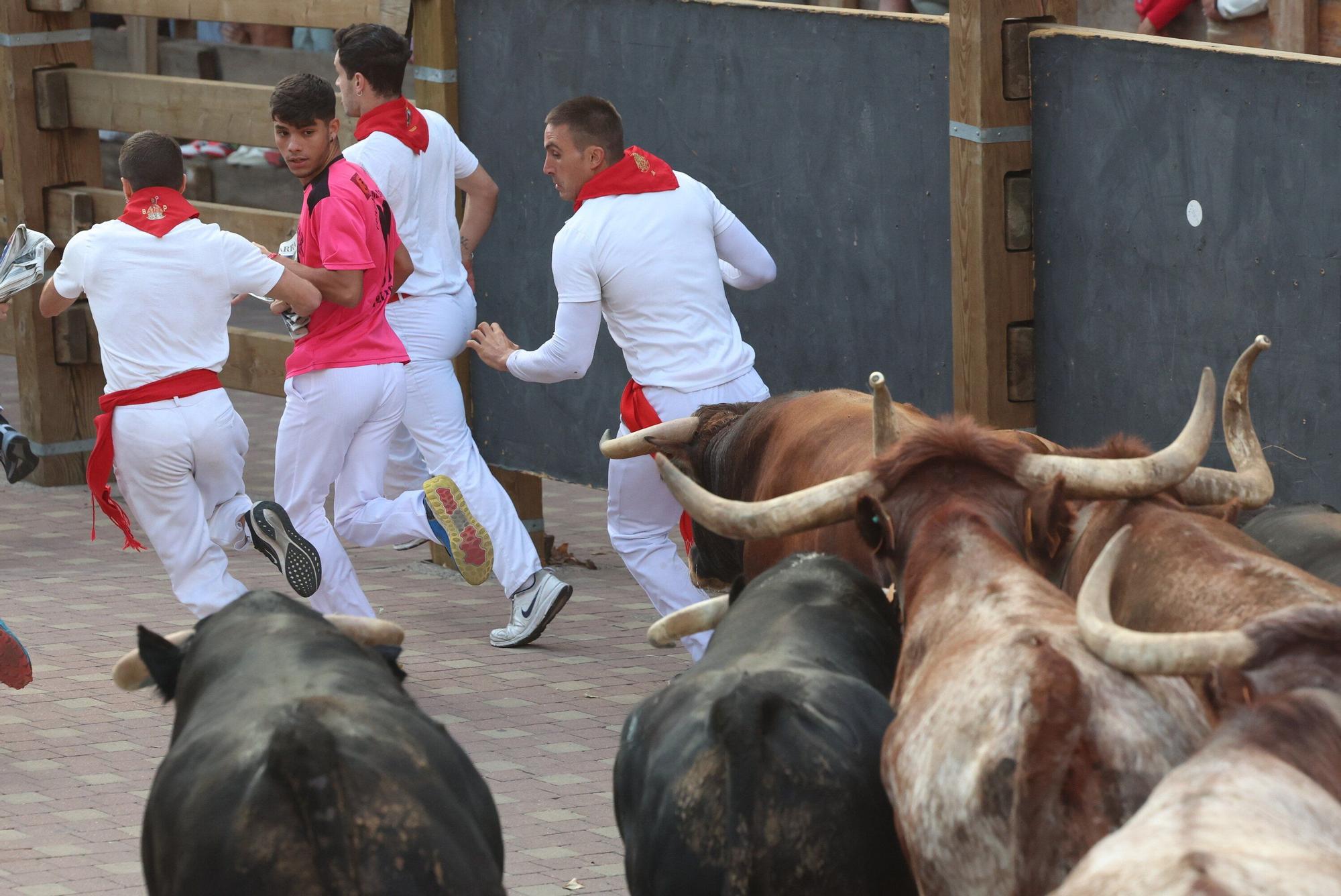 Fotos del primer encierro de las fiestas de Tudela 2025