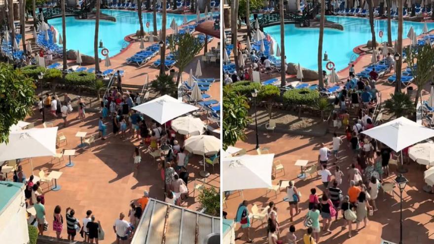 El vídeo viral de la 'guerra de las hamacas' en un hotel de Almería: la caótica carrera para conseguir el mejor sitio en la piscina